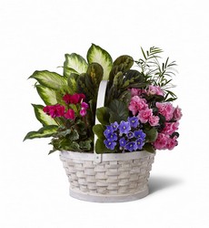 The FTD Peaceful Garden Planter from Monrovia Floral in Monrovia, CA